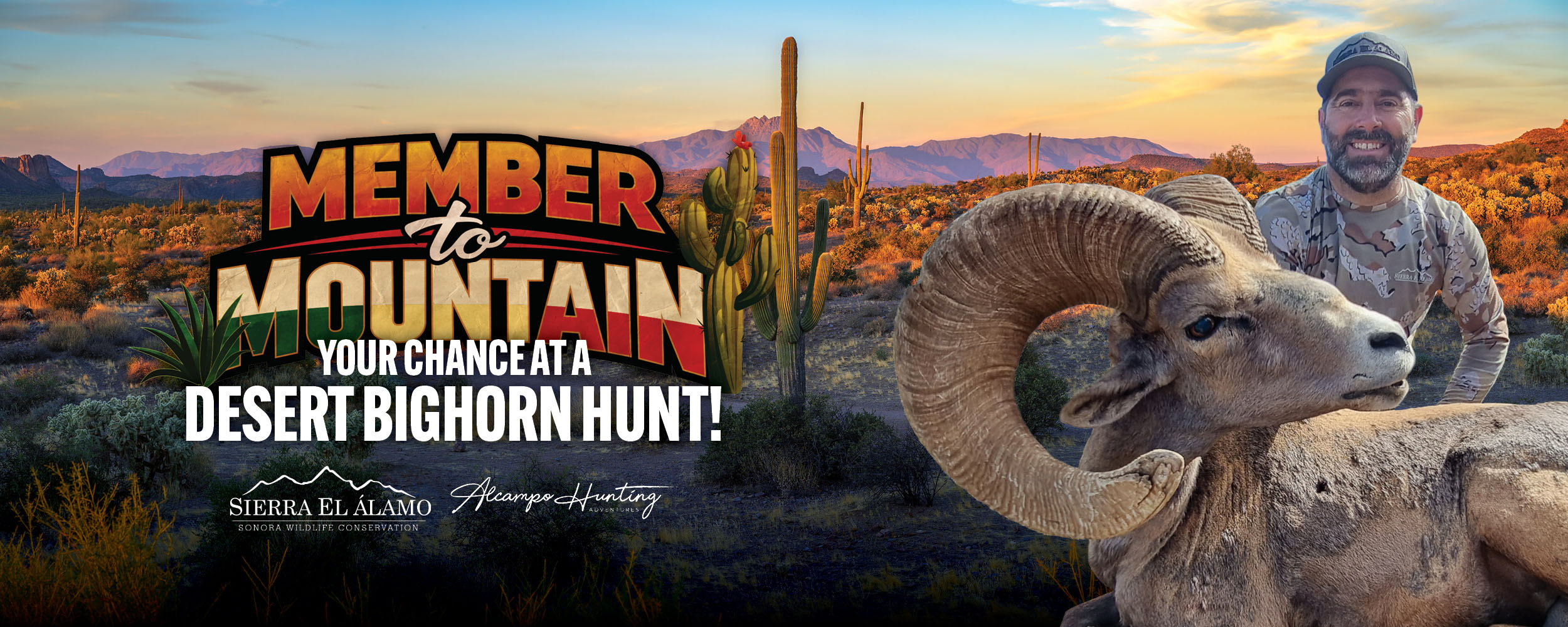 Win a Desert Sheep Hunt with Sierra El Alamo